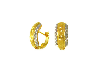 Dual Tone Plated | Fashion Earrings